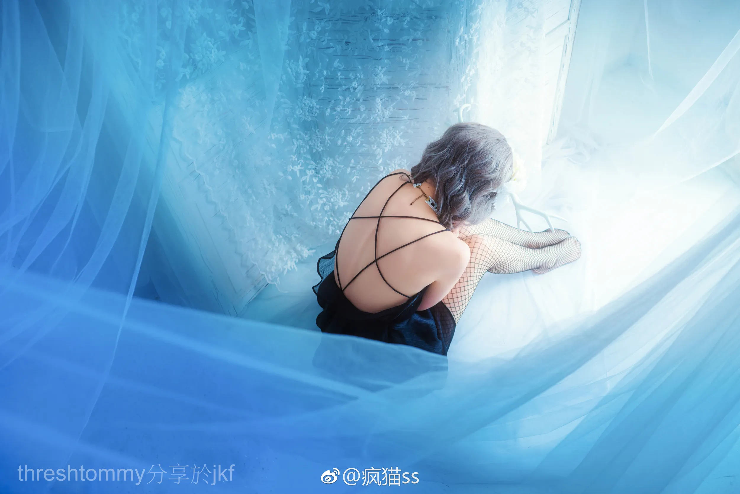 【网路收集系列】疯猫 SS 杂图一
